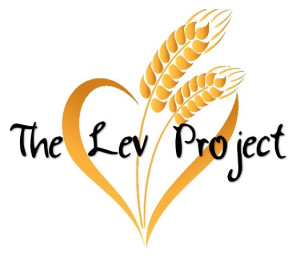 lev project