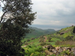 golan heights
