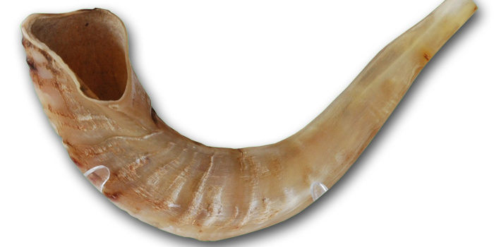 Rams Horn feasts