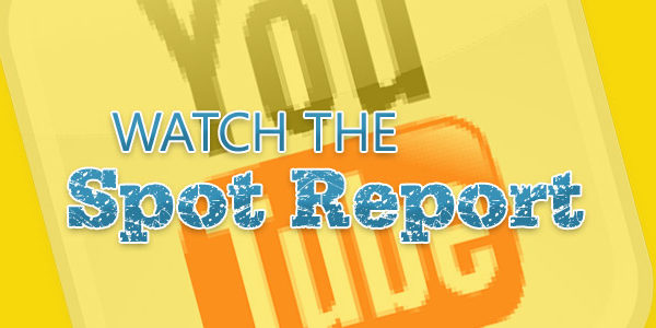 Spot Report 900×300