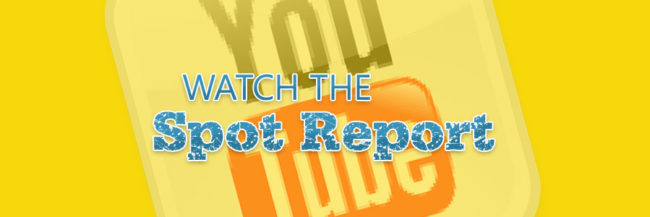 Spot Report 900×300