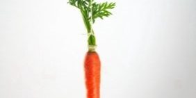 carrot stick