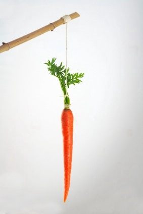 carrot stick