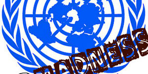 unitednations madness picnik
