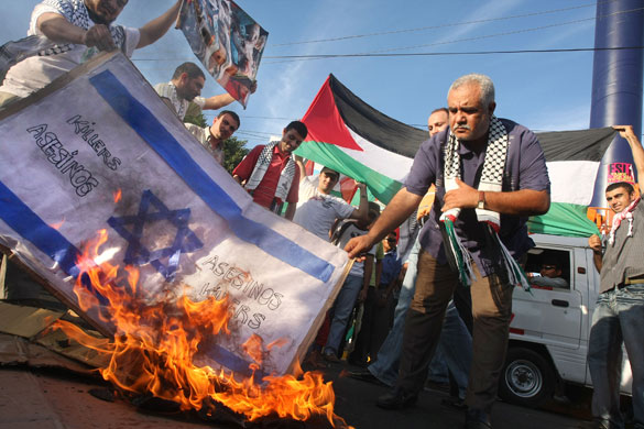 anti-israel burn flag palestinian