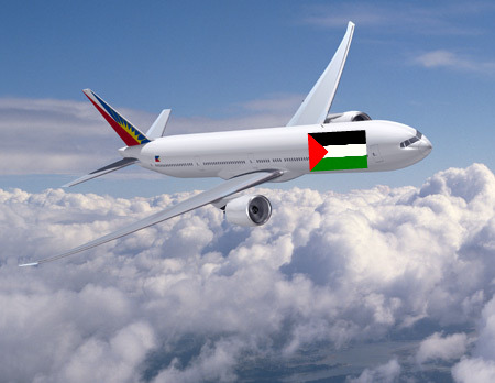 palestinian flag plane