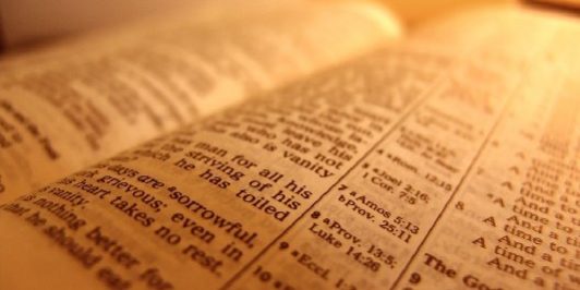 bible
