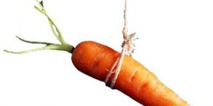 carrot-300×222