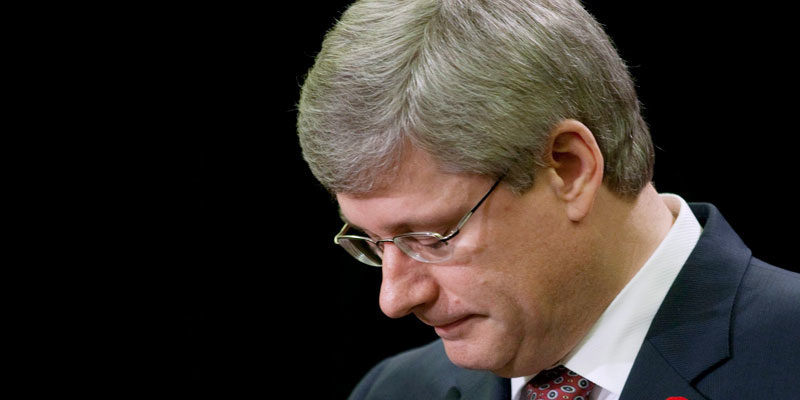 harper profile