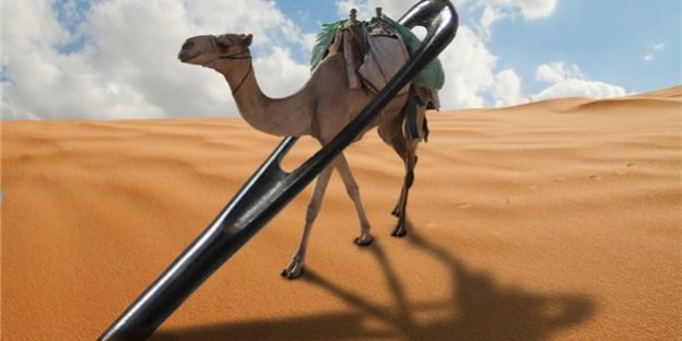 CamelthruaNeedle