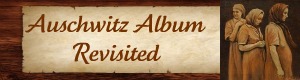 Auschwitz banner 300 80