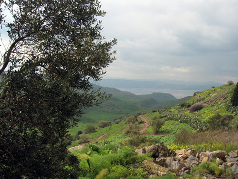 golan-heights