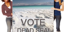 vote dead sea