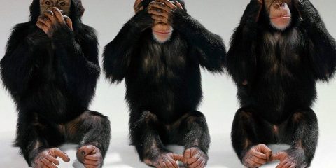 Hear_No_Evil,_See_No_Evil,_Speak_No_Evil