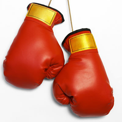 boxer gloves
