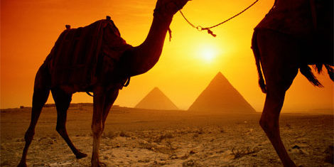 egypt_camel-sunset