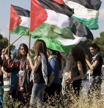 flag of palestinians