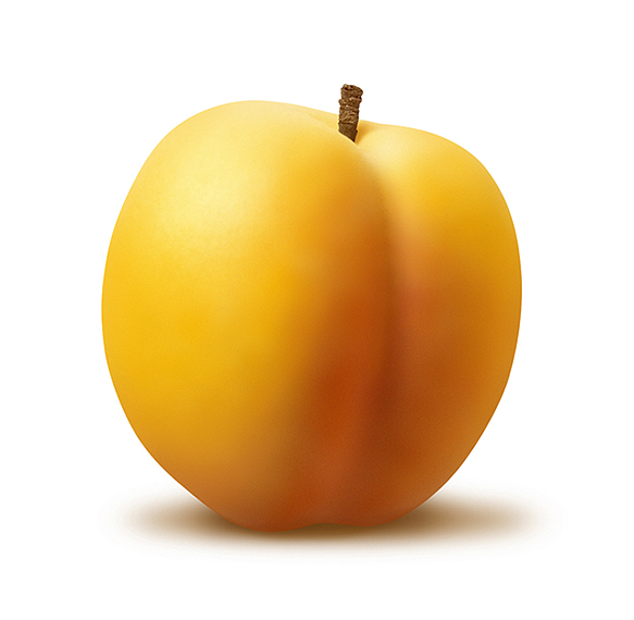 apricot