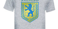 jerusalem seal shirt
