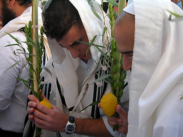 Sukkot_Priestly_Blessing_1