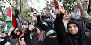 turks protest