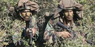 idf