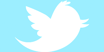 twitter_newbird_boxed_whiteonblue