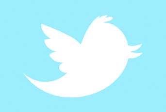 twitter_newbird_boxed_whiteonblue