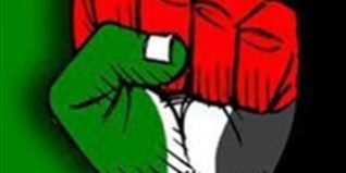 Palestinian Fist