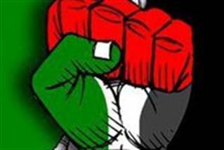 Palestinian Fist