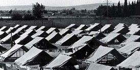 refugee-camp