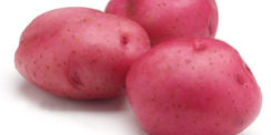 RedPotatoes10207