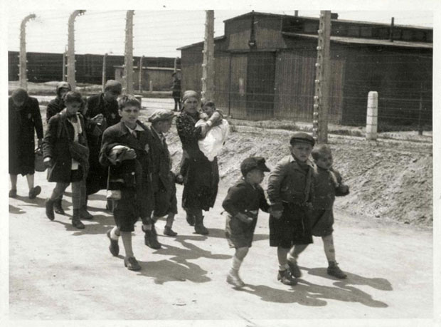 auschwitz album Stay close to your elder brother