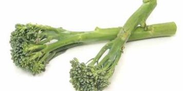 broccolini
