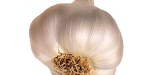 garlic_bulb