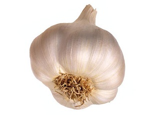 garlic_bulb