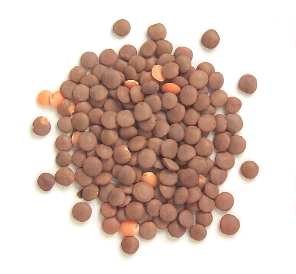 lentils