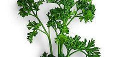 parsley