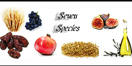 seven-species-for-blog