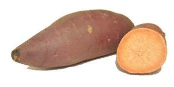sweet potato