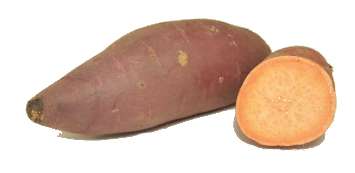 sweet potato
