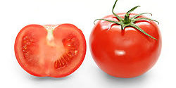 tomatoes
