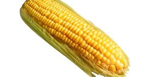 yellow-corn-01