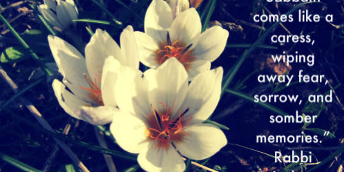 shabbat flower