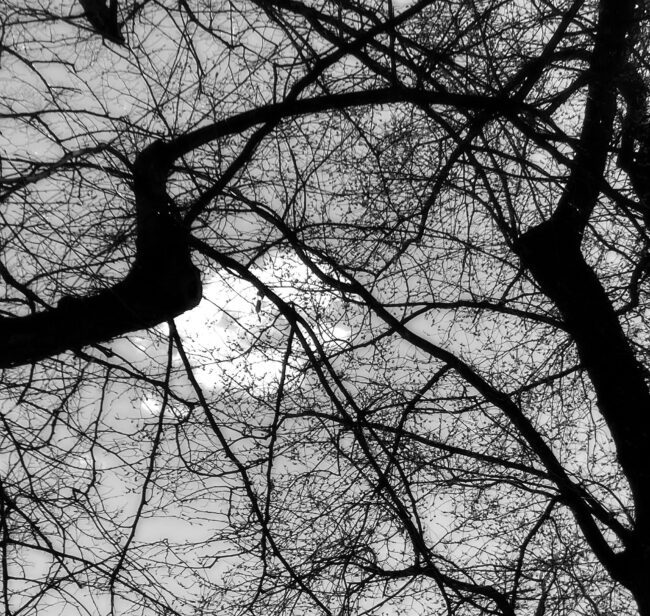 B&W. Monologue I