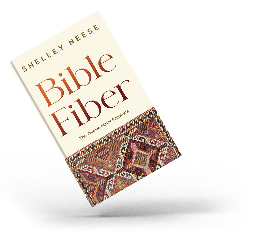 Bible Fiber: The Twelve Minor Prophets book graphic