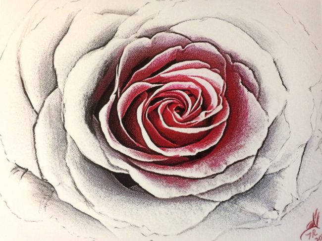 The Rose of Thirteen Petals. Jewish Mysticism