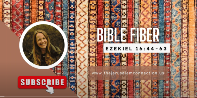 ezekiel 16 part 2 picture