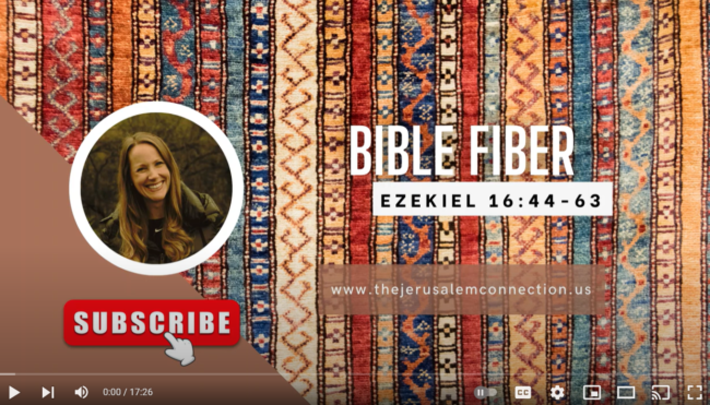 ezekiel 16 part 2 picture